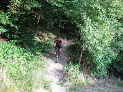 Mountainbiker auf Singletrail