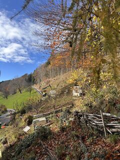 Foto von Cyrill Bischof entlang der Tour