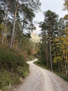Photo de Joaquin Kersting le long du parcours