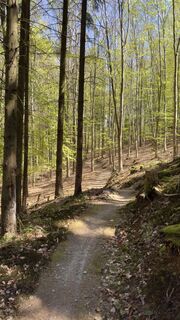 Foto von Grzybek entlang der Tour