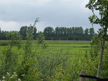 Blick in die Düffel