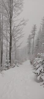 Fotografia z Sylwiasuchy76 na trase