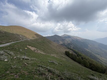 Fotografija s spletne strani Jelena Kuehn na poti