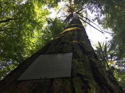 Tageswanderung Bonndorf 2
