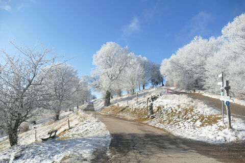 Schauinslandweg im Winter