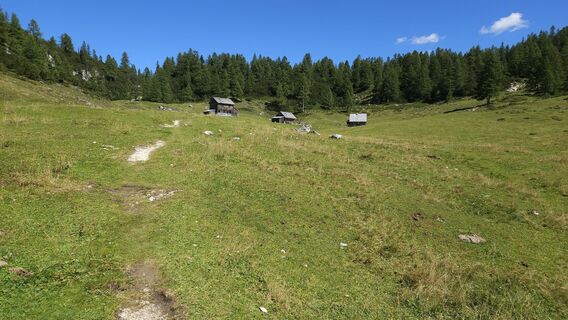 Foto från kriessda under resans gång