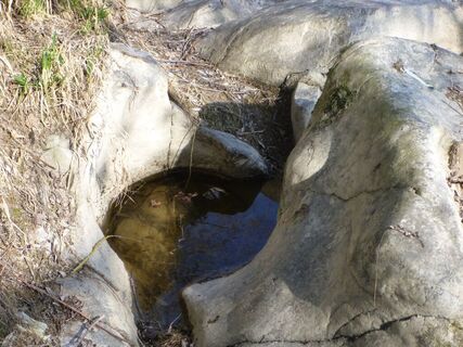 Kiesenbacher Felsen