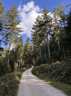 Photo de Heinz Sperl le long du parcours