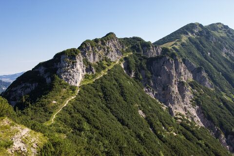 Feldberg