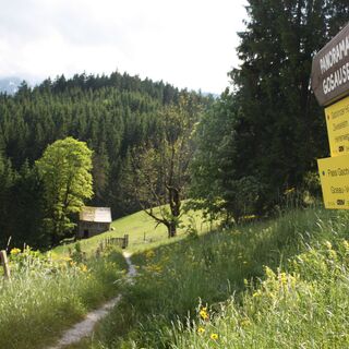Карта