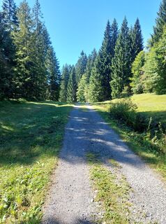 Foto fra Urban Dünser undervejs på turen