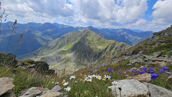 Photo de Alexandra Stani le long du parcours