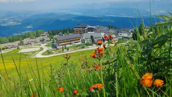 Foto da Oli Heise lungo il tour