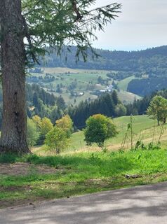 Foto von Johanna Keller entlang der Tour