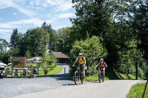 Route Bergli