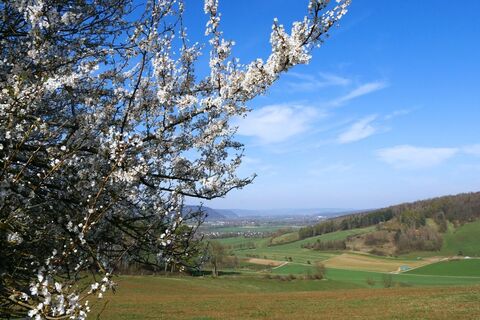 Ausblick vom Wildberg