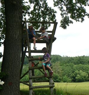 Natürlicher Spielplatz Wald