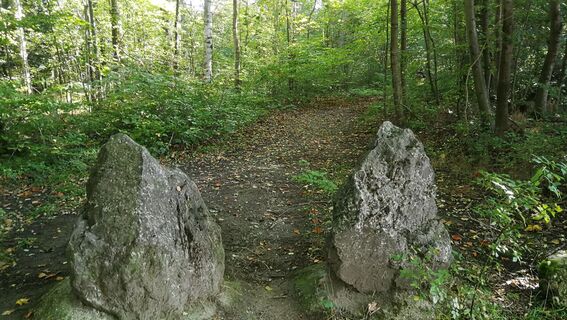 Zwischen Leubengrund und Hummelshain