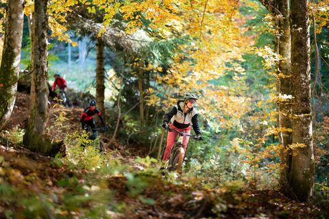 Augst Trail am Loser in Altaussee
