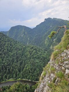 Fotografia z Whitney Dreams na trase