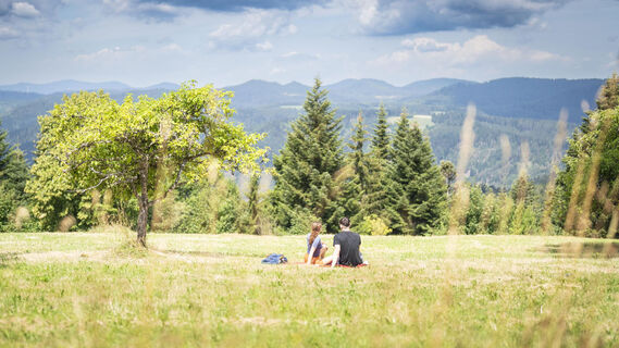 ZollhausAichhaldenRastAussicht