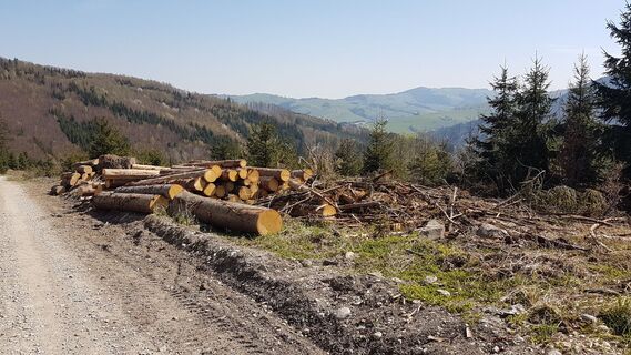 8.2 km Abfahrt nach der Hertlerwiese