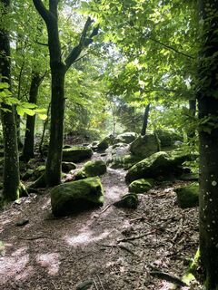 Fotó a Franika honlapról a túra során
