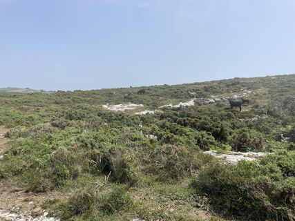 Photo de Florian Brandt le long du parcours