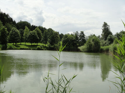 Kohlbrunnweiher