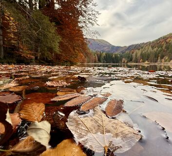 Foto von Natur_erleben_dg entlang der Tour