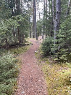Photo de Klaus Braun le long du parcours
