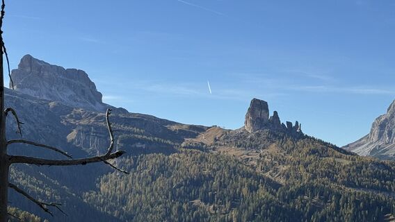 Fotografija s spletne strani ROBERTO BONIOTTI na poti