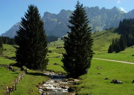 Bernhalden