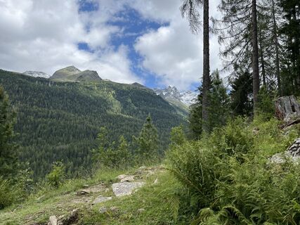 Foto von Tomasz Trzcinski entlang der Tour