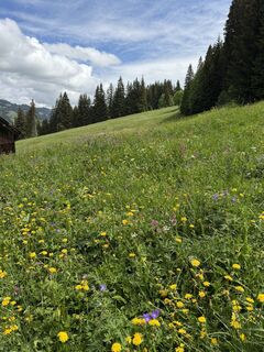 Foto von Christopher Rubin entlang der Tour
