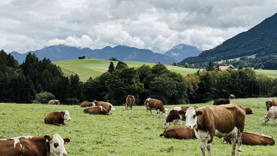 Fotografie z Jana Penz na trase