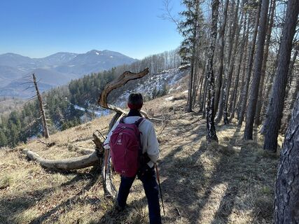 Foto von voeslauer entlang der Tour