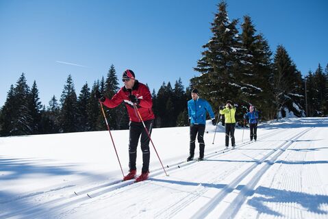 Skifahrer auf der Loipe