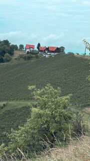 Foto från Anna Andrae under resans gång