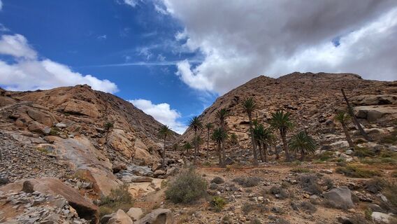 Foto von Sebastian entlang der Tour