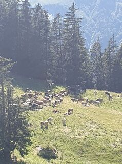 Photo de Christian Stieber le long du parcours