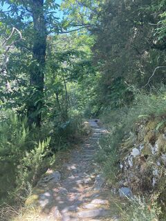 Foto de Stefan a lo largo del recorrido