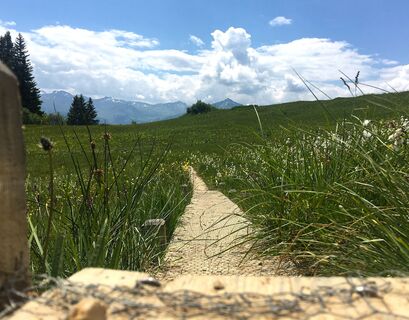 Der Steg hilft dem Wanderer und der Natur!