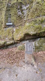 Foto fra Anita Lunzer 1 undervejs på turen