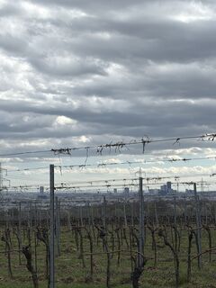 Foto de Jaqueline Zeppitz a lo largo del recorrido