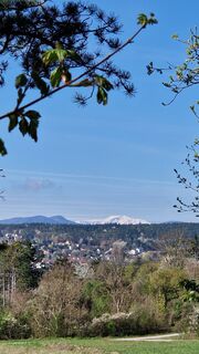 Foto de Elisabeth Rossa a lo largo del recorrido