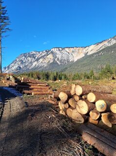 Foto von Dagmar Hofer entlang der Tour