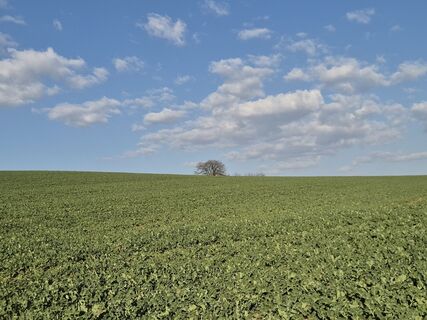 Fotografia z josef duermoser na trase