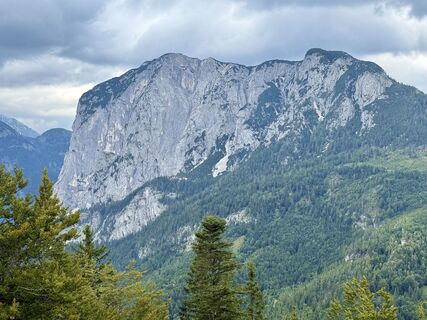 Zdjęcie z CT wzdłuż trasy