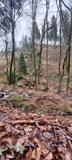 Foto von Jan 2505 entlang der Tour